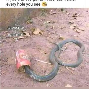 Meet your Posher, Ali